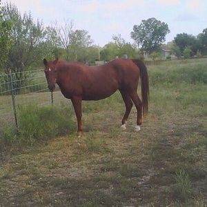 Meet your Posher, Martha